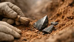 Hallan 438 herramientas de sílex que revelan cómo vivían los neandertales