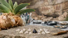 Hallan el veneno de flecha más antiguo y cambia lo que sabíamos de la caza prehistórica