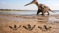 Huellas fósiles revelan que los pterosaurios también dominaron la tierra hace 160 millones de años