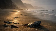 Herramientas de piedra reescriben la llegada de los primeros humanos a América