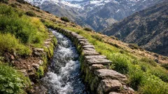 Las acequias milenarias que siguen sembrando agua y reviviendo la vegetación
