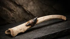 Hallan una punta de flecha incrustada en una costilla humana de hace 4 mil años