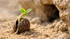 La semilla milenaria que volvió a la vida y sorprendió a la ciencia