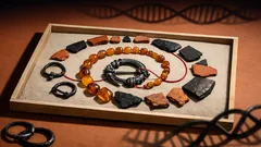 ADN antiguo revela que varias comunidades de la Edad del Hierro se organizaban alrededor de las mujeres