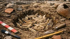 Hallan 13 mandíbulas de cerdo en Legio y creen que formaron parte de un ritual funerario romano
