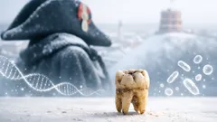 El ADN antiguo revela qué enfermó al ejército de Napoleón durante la retirada de 1812