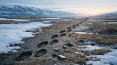 El cambio climático que redujo a la mitad la población de Europa en la prehistoria