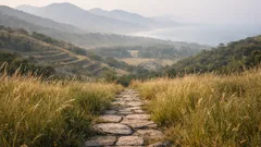 Descubren en Guerrero una ciudad de 1,200 años con juego de pelota y muralla