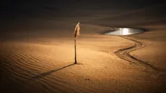El Rub’ al-Khali no siempre fue desierto: hallan un enorme lago bajo las dunas