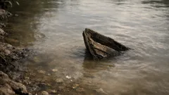 Descubren más de 850 monedas romanas en un río y el hallazgo sorprende a la arqueología