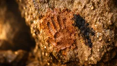 Hallan en Oaxaca esculturas de barro de más de mil años ocultas en una cueva sagrada