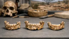Tres fósiles infantiles cambian lo que sabíamos sobre el origen humano
