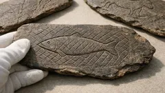 Descubren peces atrapados en redes grabadas hace 15,800 años y cambia la historia de la pesca