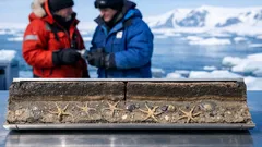 Antártida revela un periodo climático oculto gracias a fósiles del fondo marino