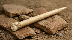 Hallan en Sicilia un estilete de hueso intacto que revela secretos de un taller griego