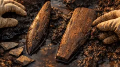 Descubren herramientas de madera de 430 mil años y cambian la historia de la prehistoria