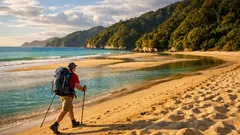 Abel Tasman Coast Track: cómo recorrer la ruta entre playas, bosque y mareas
