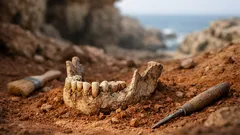 Descubren fósiles humanos en Casablanca que podrían acercarnos al ancestro común